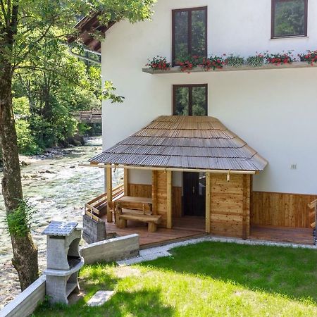 Appartement Krivec à Luče Extérieur photo